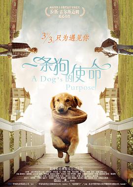 淫秽的妻子的身体